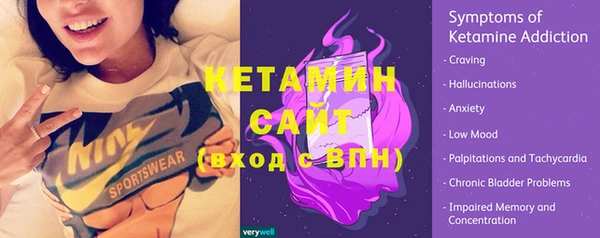 сатива Беломорск