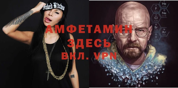 сатива Беломорск