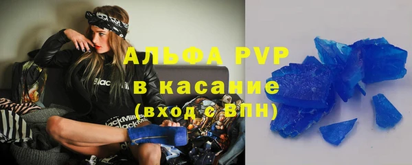 сатива Беломорск
