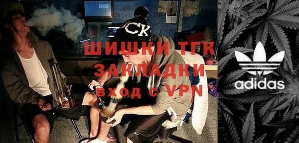 сатива Беломорск
