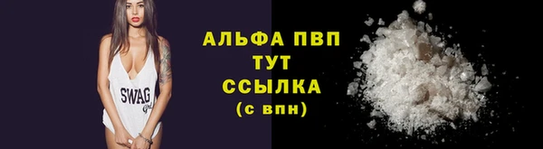 сатива Беломорск