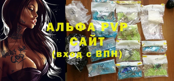 сатива Беломорск