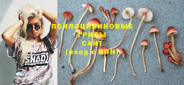 сатива Беломорск