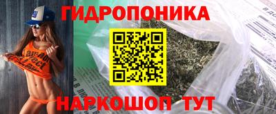 амф Сланцы