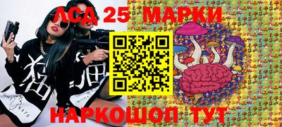 амф Сланцы