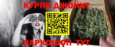 амф Сланцы