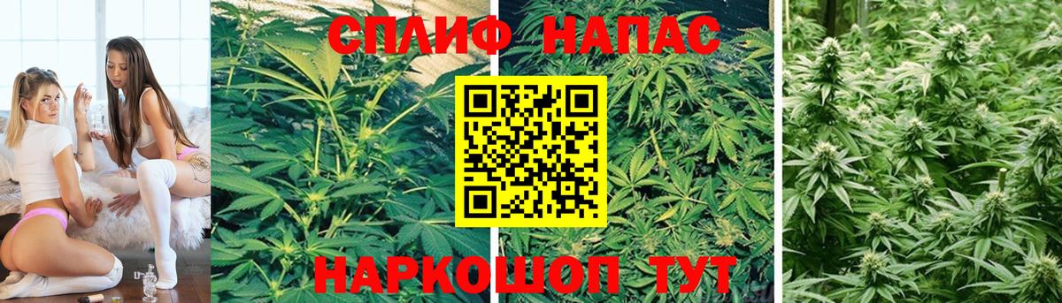 Конопля конопля  Вход с VPN  Реж  Каннабис тримм 